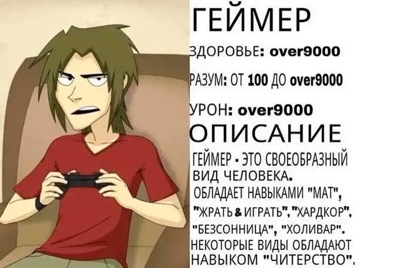 Толковое значение слова геймер. Шутки про геймеров. мемы про геймеров. геймерские фразы. фразы геймеров.