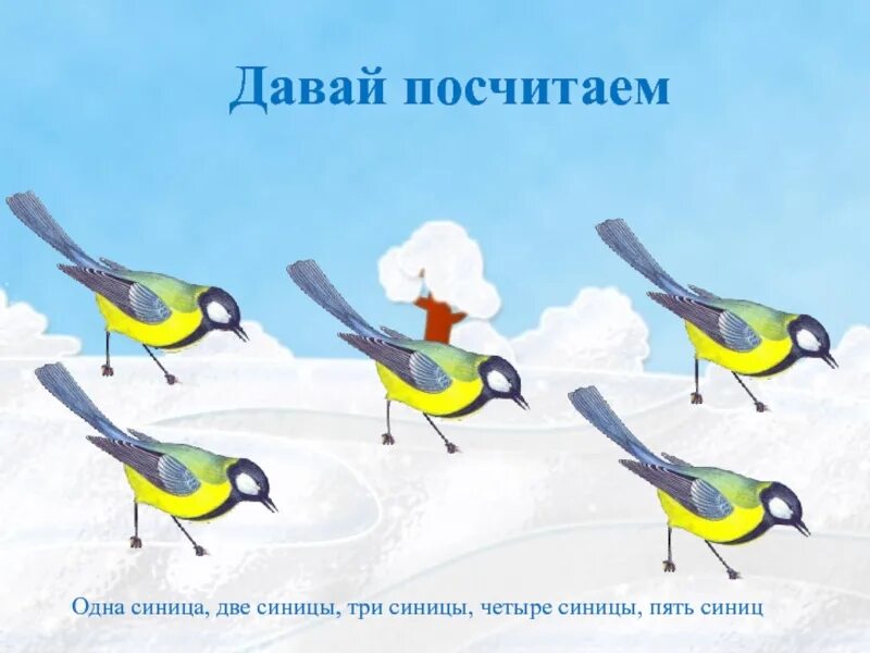 Синичка 5 содержание чем закончится. Пять синиц. две синицы. синичка 5. 2 синички.