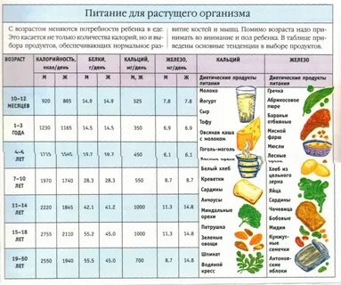 Правильное питание для ребенка 4 года