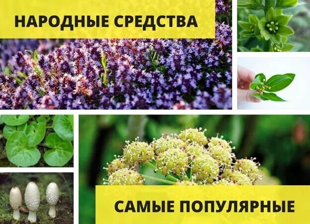 Народные методы от алкоголизма. Народные средства от алкоголизма самые. Народные средства от пьянства. Народные методы лечения от алкоголизма. Народные средства от алкоголизма самые.