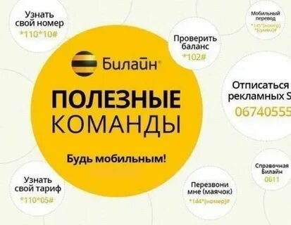 Как узнать телефон билайн команда