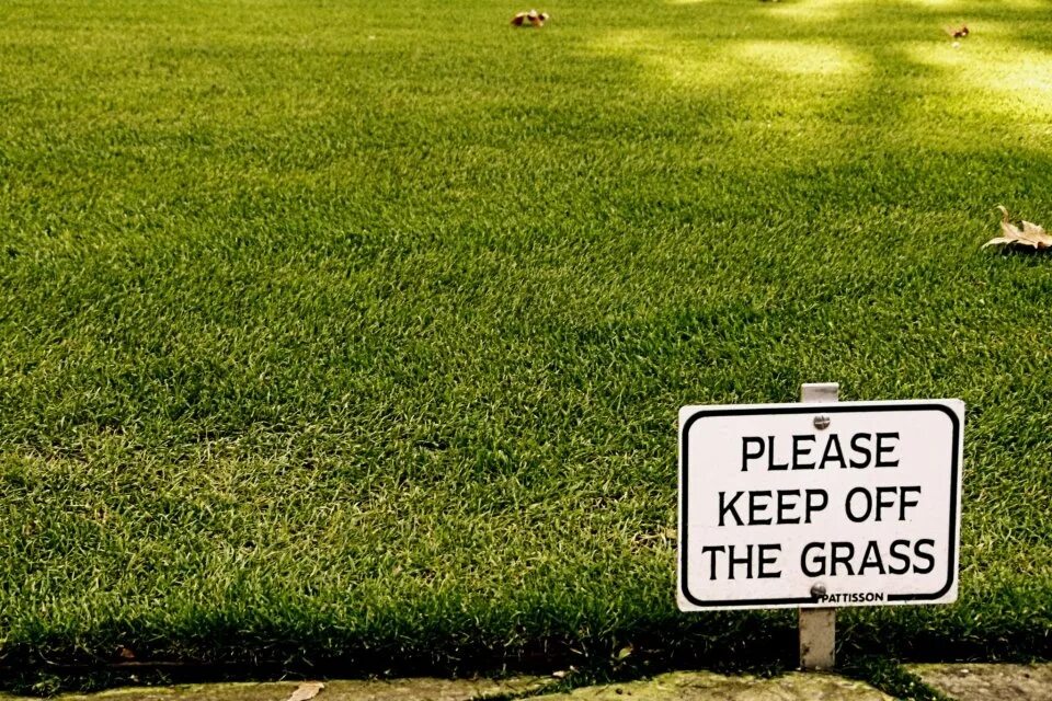 To keep there well being. Keep off the grass. Keep off the grass sign. Знак please, keep off the grass. Keep of the grass знак.