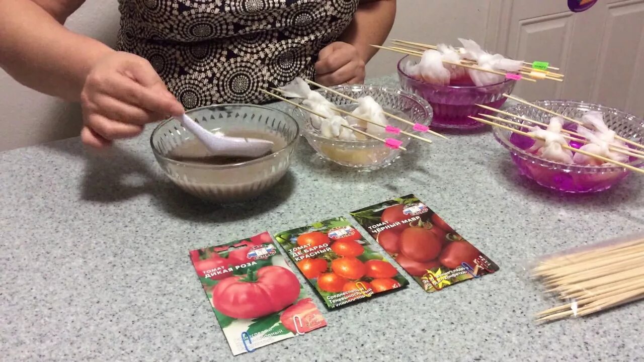 Предпосевная обработка семян томатов