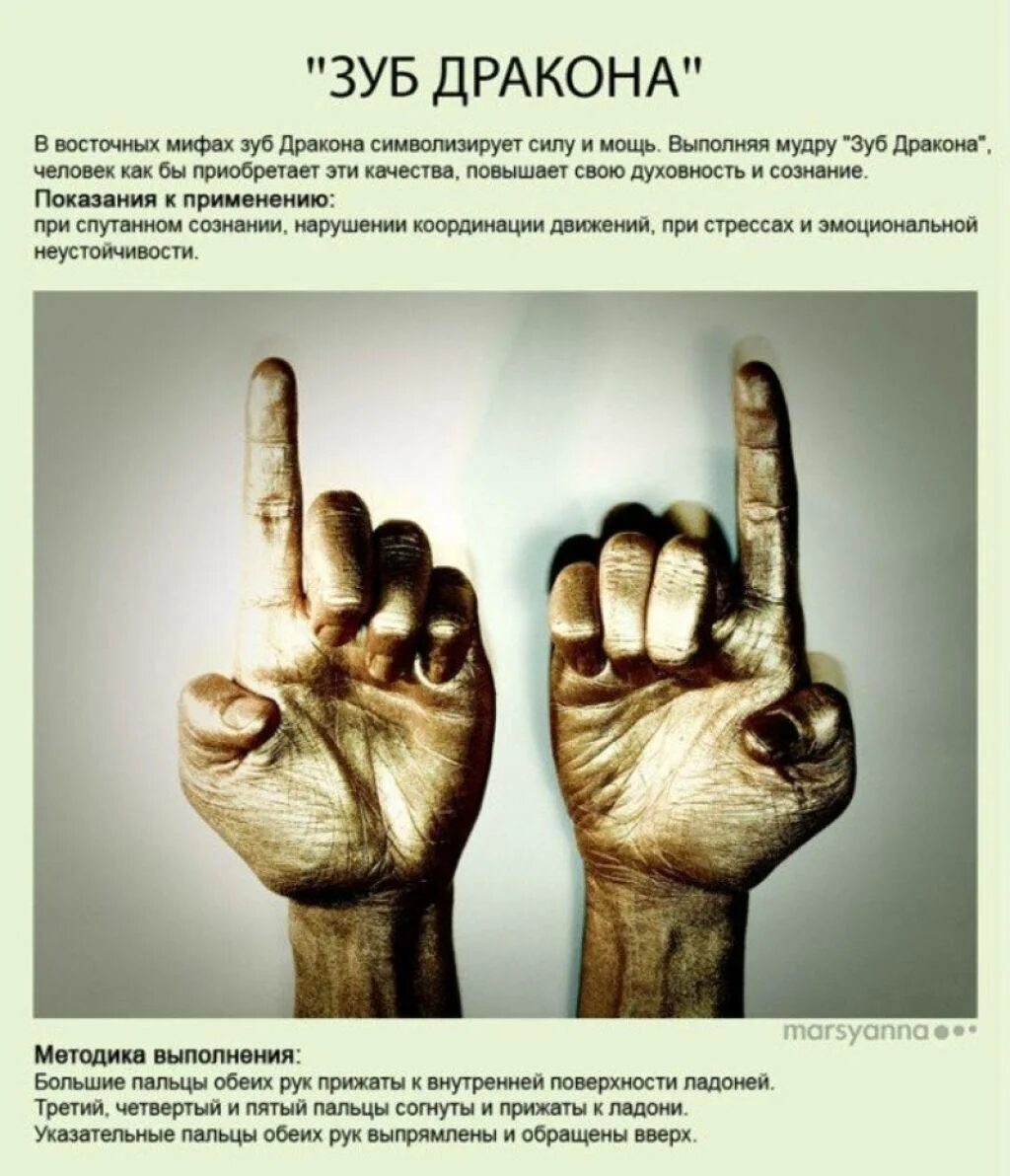 Мудра "раковина" - "шанкха". Мудры в йоге в картинках с описанием. Мудры на все случаи. Мудры на все случаи. Мудра дохода.