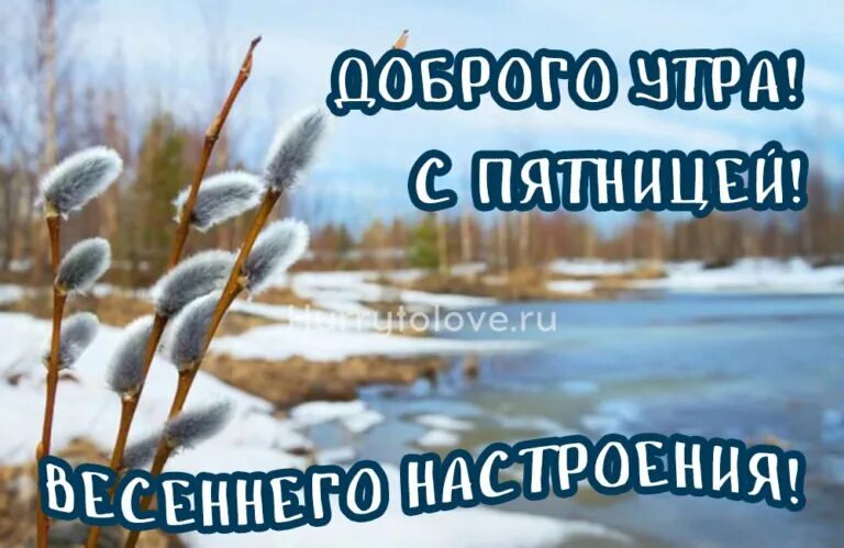 Открытки с добрым весенним пятничным утром. Пожелания с добрым мартовским утром. С добрым весенним мартовским утром пятницы. Пожелания с добрым весенним утром. Открытки с добрым утром пятницы.