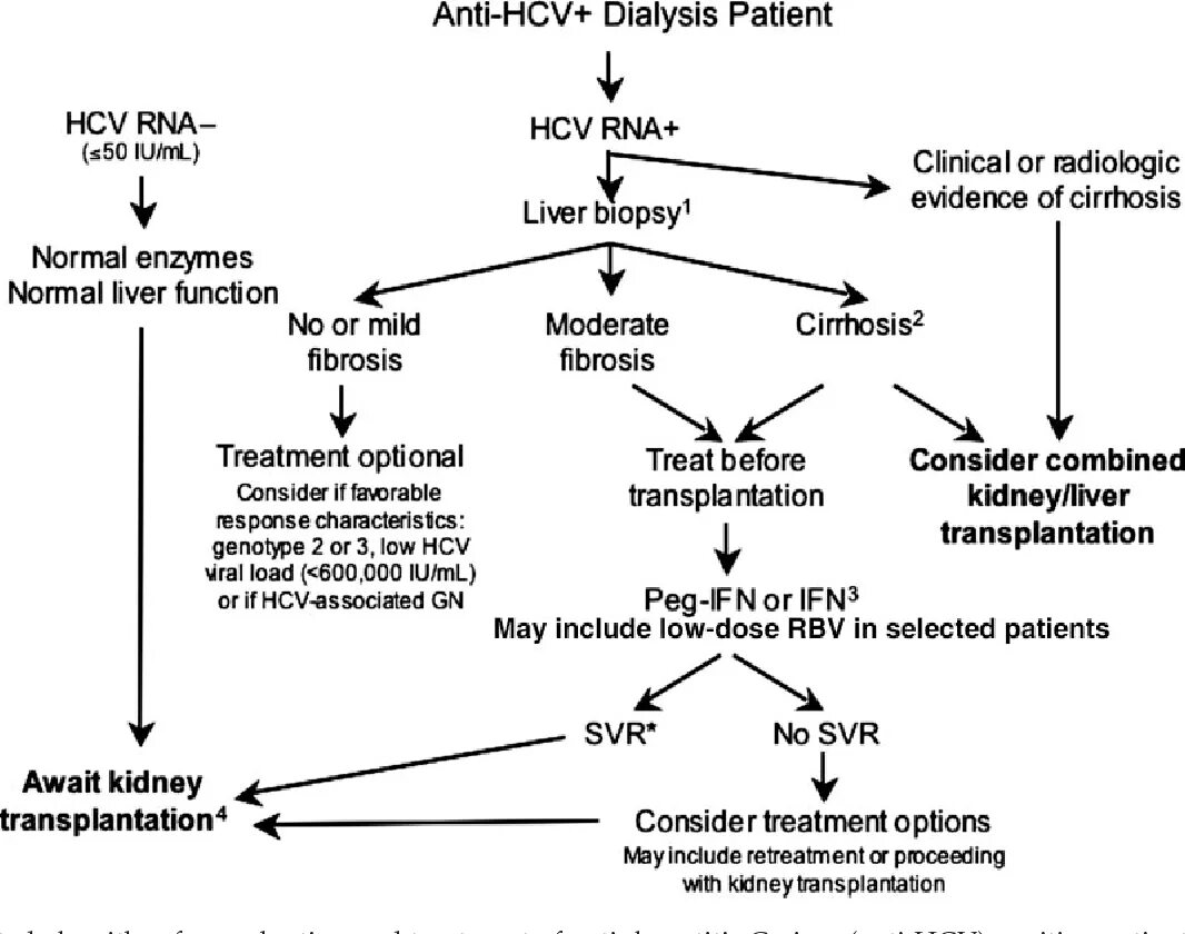 Определение hcv