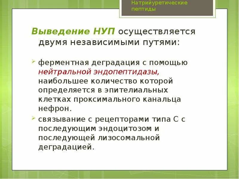 Натрийуретический пептид биохимия. Натрийуретический пептид функция. Натрийуретический пептид что это такое простыми словами. Натрийуретический пептид при хсн. Физиологические эффекты атриопептида.