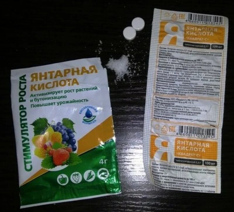 Как развести янтарную кислоту чтобы полить