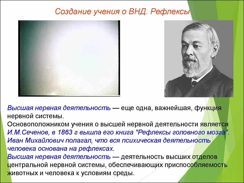 Термин высшая нервная деятельность предложил. Учение о ВНД. Сеченов Павлов основоположники учения о высшей нервной деятельности. Учение Сеченова о высшей нервной деятельности.