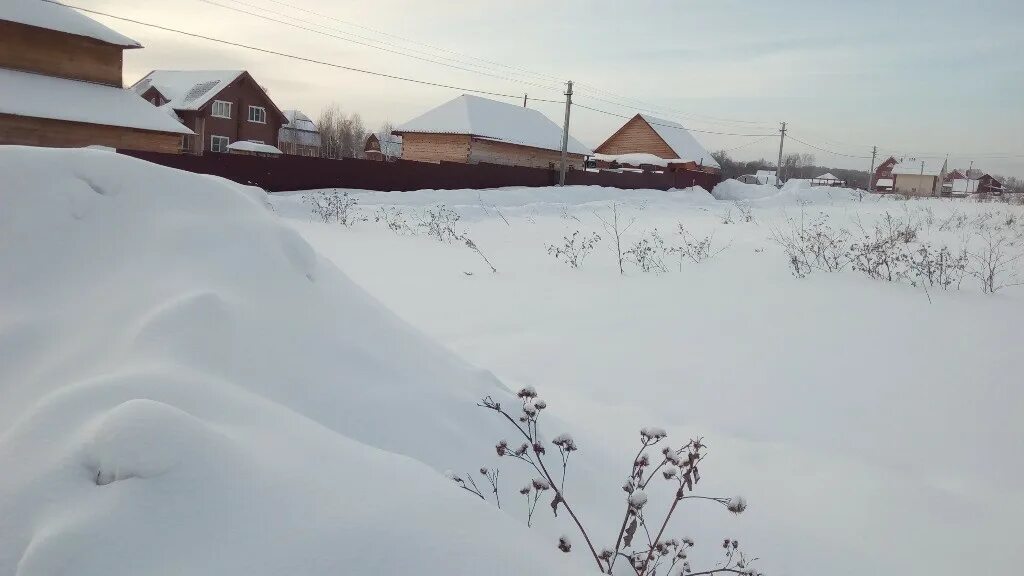 Посёлок имени крупской новосибирская область 2022год. Рыбалка в плотниково новосибирская область. Поселок крупской. Поселок имени крупской новосибирская область фото. Поселок имени крупской новосибирская область фото.