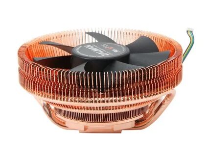 Fan long