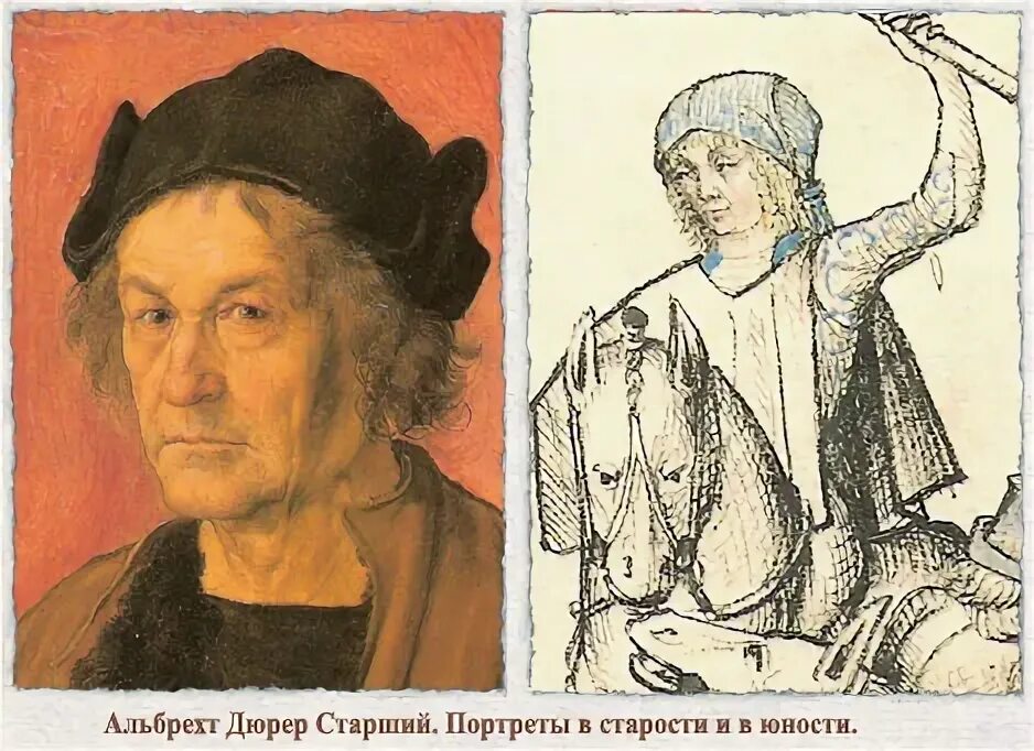 альбрехт дюрер старший. альбрехт дюрер автопортрет гравюра. альбрехт дюрер портрет ганса имхоффа (1523). альбрехт дюллер «portrait of his father» 1409. дюрер портрет отца.