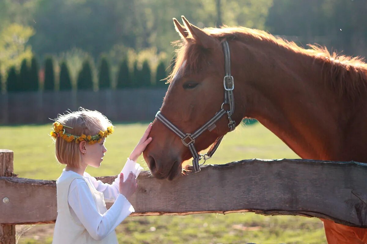 Horse kids. Человек на лошади. Девочка на лошади. Лошадь для детей. Человек гладит лошадь.