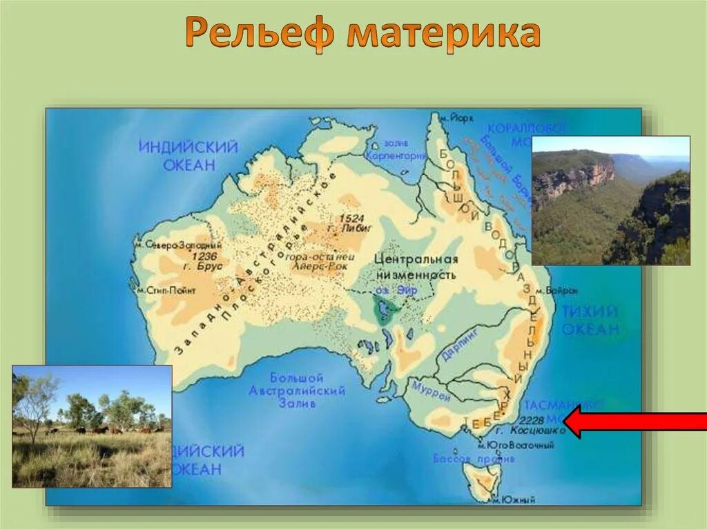 Западно австралийское плоскогорье в Австралии. Формы рельефа Австралии на карте 7 класс. Равнина Центральная низменность на карте Австралии. Рельеф Австралии на карте. Большой водораздельный хребет полушарие