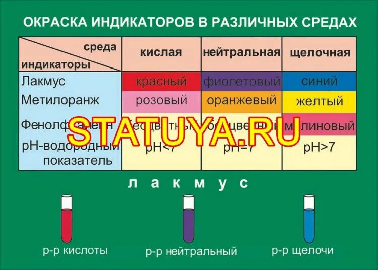 Какого цвета лакмус в растворах щелочей