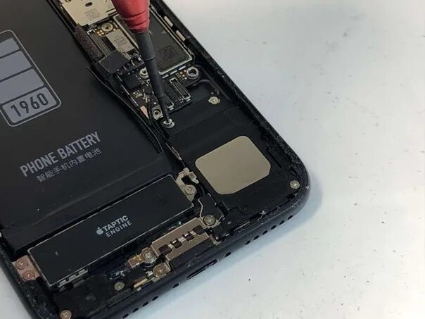 Замена динамиков iphone 7 цена. Динамик айфон 7. Нижний динамик айфон 7. Айфон 7 s динамик. Динамик iphone 7 Plus.