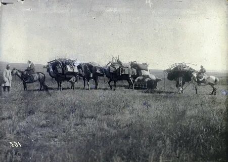 Павлодарский уезд