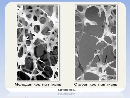 Возрастные изменения тканей
