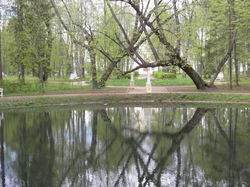 Погода берново тверская