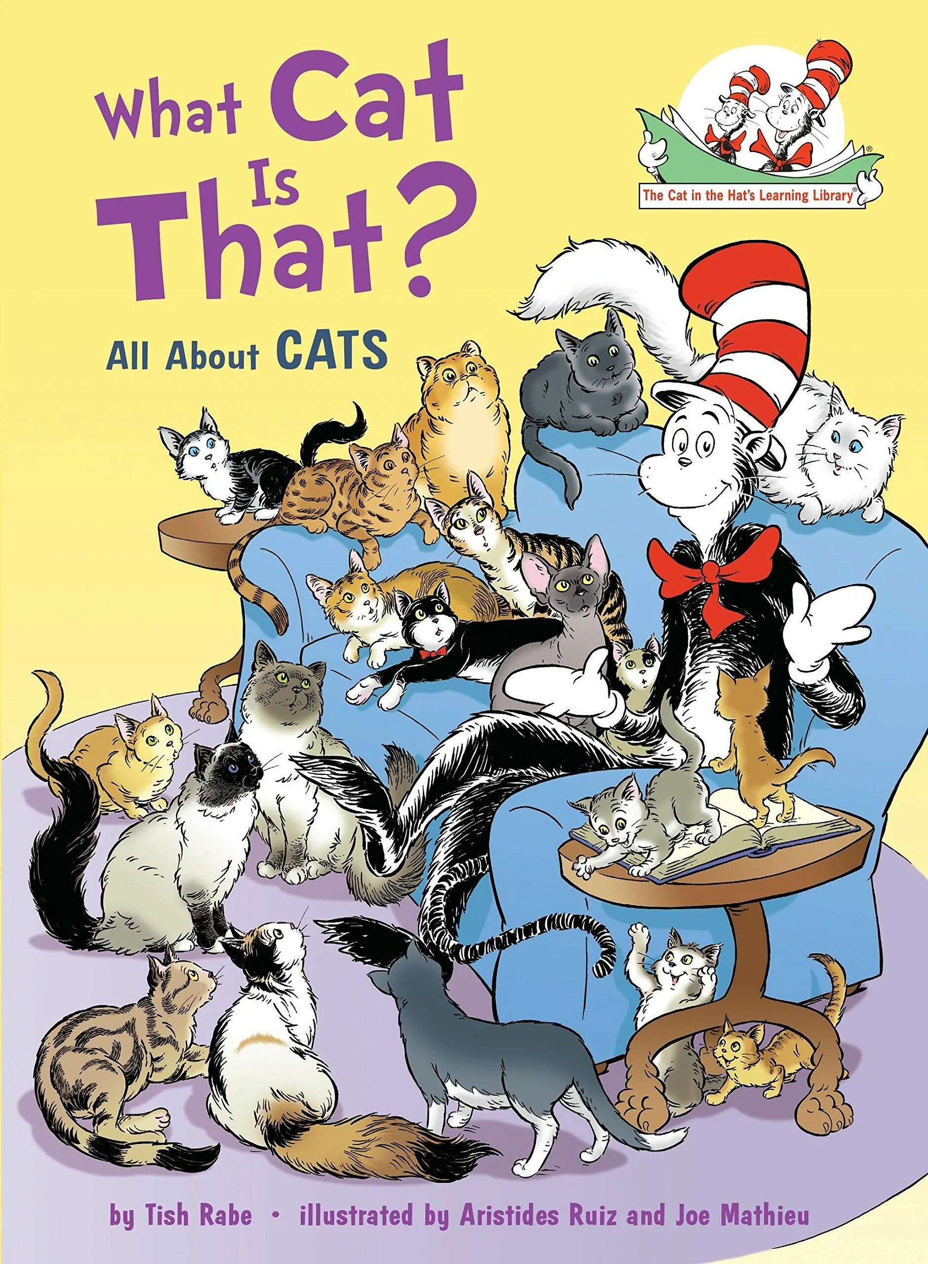 The cat is the books. Book about cats. кошки с книжной обложки. cat книга. кошка what.