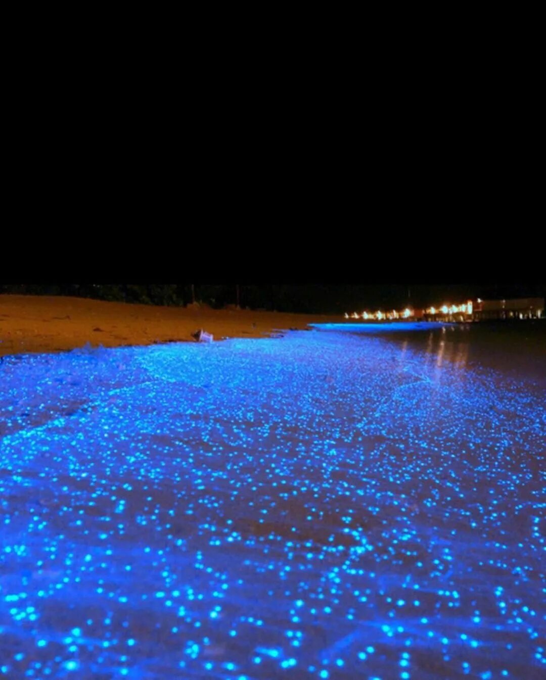 Почему ночью светится. Остров ваадху мальдивы. Почему ночью светится. Почему ночью светится. Светлячок светится.