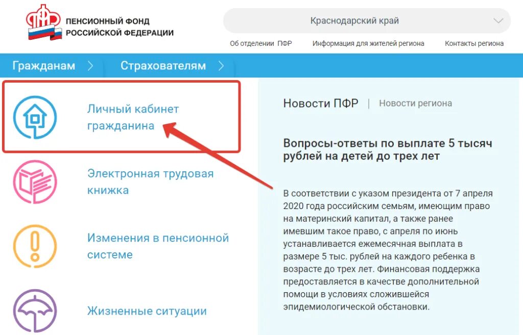 Пфр найти физическое лицо
