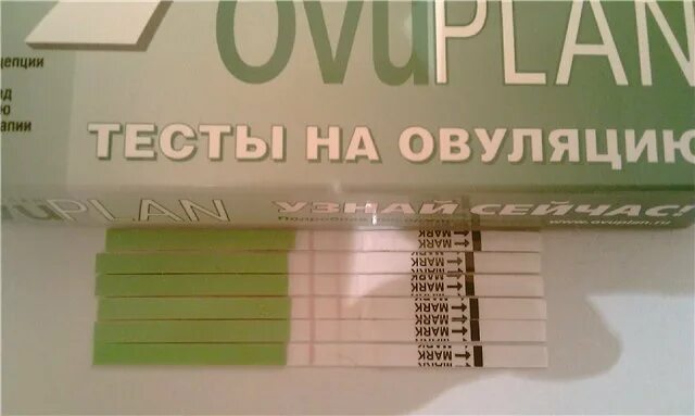 Тест на овуляцию показал слабую. Тест на овуляцию вторая полоска. Тест на овуляцию слабая вторая полоска. Тест на овуляцию показывает слабую вторую полоску. Тест на овуляцию 2 полоска бледная что это.