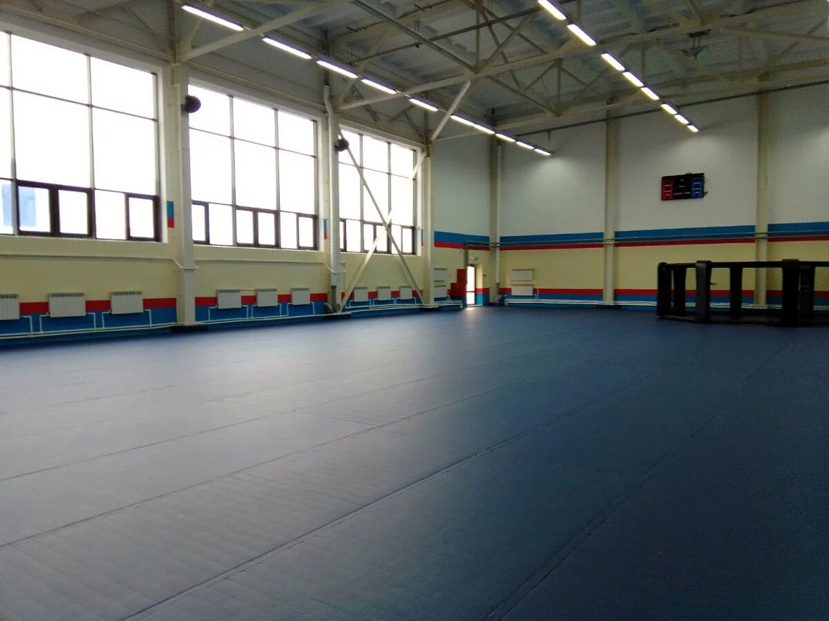 Дворец единоборств брянск расписание. Дворец единоборств брянск бассейн. открытие дворца единоборств в брянске. дворец единоборств брянск планировка. дворец единоборств брянск гимнастика.
