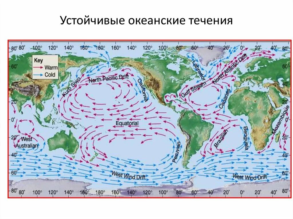 Какое океаническое течение является теплым. Океанические течения. Карта течений. Морские и Океанические течения.