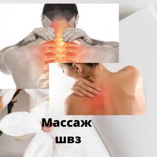 Мышцы воротниковой зоны