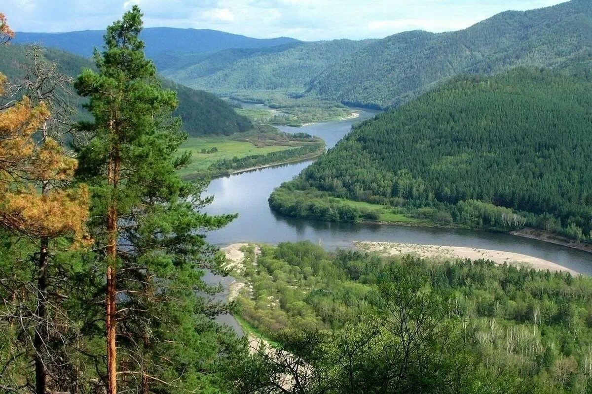 Лес в забайкальском крае. Забайкальский край. Река Ингода Забайкальский. Тайга Забайкальского края. Река Ингода в Забайкальском крае.