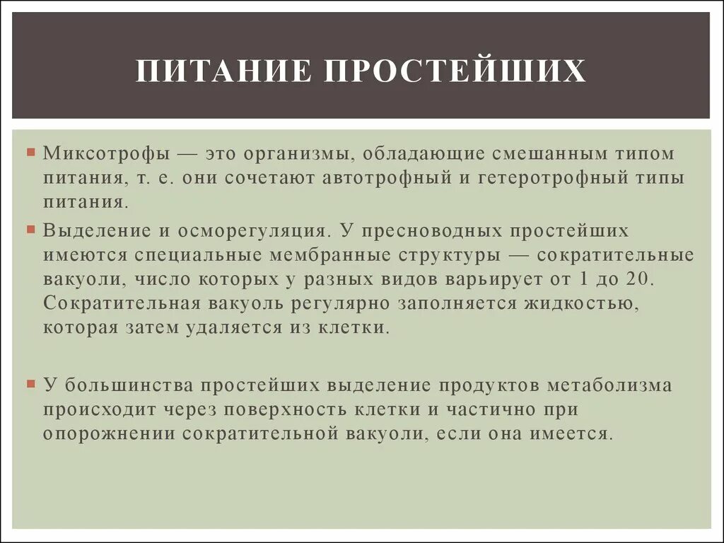 Какой тип питания характерен для большинства представителей