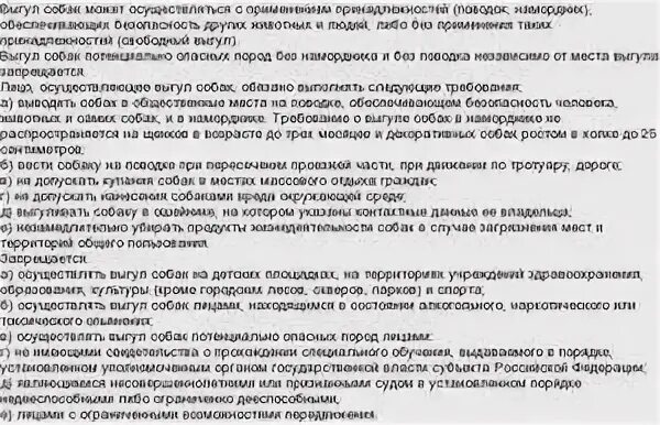 Правила выгула собак. Выгул собак без намордника статья коап. Выгул собак без намордника статья коап. Выгул собак без намордника статья коап. Выгул собак без намордника статья коап.