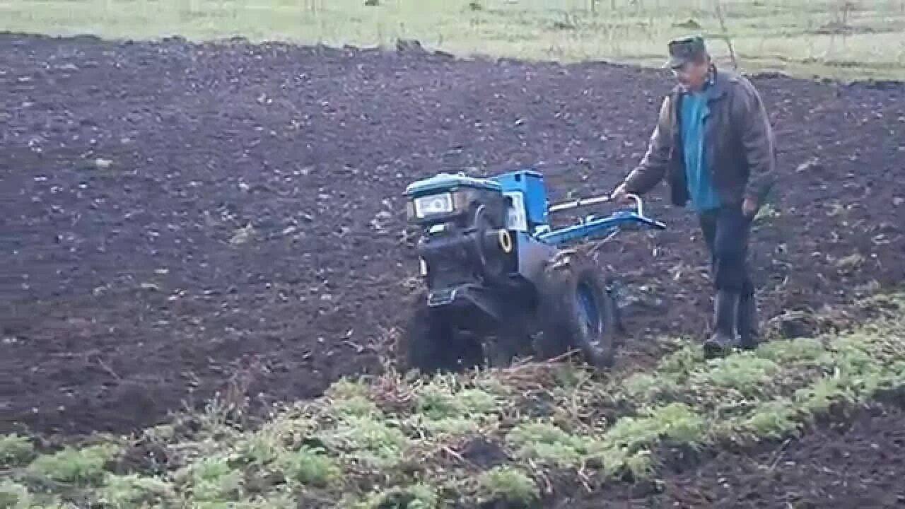 Вспашка земли мотоблоком ЗУБР. Вспашка мотоблоком дизель. Мотоблок с плугом на поле. Пахать мотоблоком с плугом.