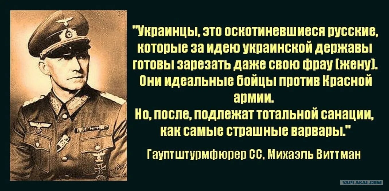 Высказывания немцев о украинцах. Высказывания фашистов. Украинцы это оскотинившиеся русские. Украинцы это оскотинившиеся русские цитата.