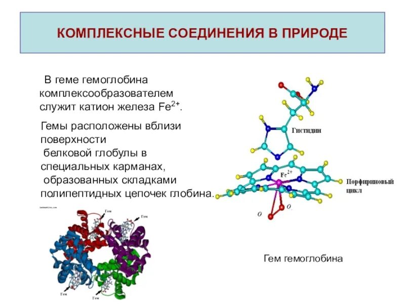 В своем составе имеет соединения. Гемоглобин комплексное соединение. Из чего состоит комплексное соединение. Комплексные соединения строение кратко. Комплексные соединения в природе.