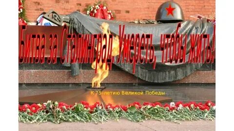 9 дней сталинград