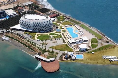 Sentido gold