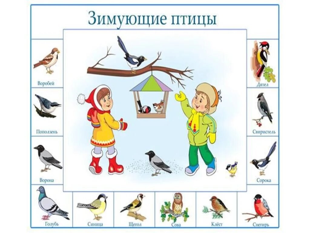 Планирование зимующие птицы старшая группа. Зимующие птицы. занятие зимующие птицы. зимующие птицы младшая группа. зимующие птицы занятие для малышей.