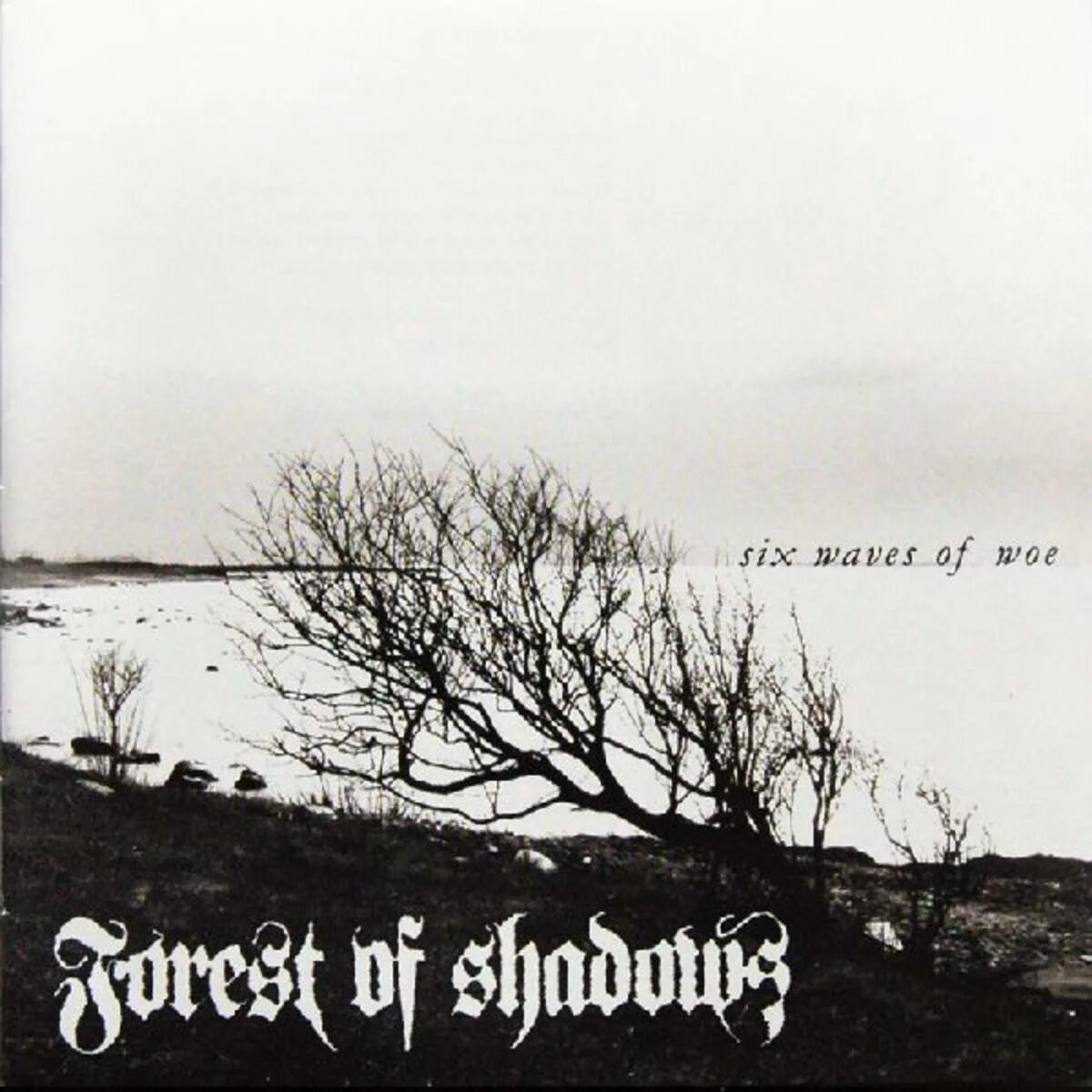 Forest of shadows. Forest of shadows - six waves of woe. forest of shadows группа. forest of shadows departure 2004. forest of shadows the silent cry album.