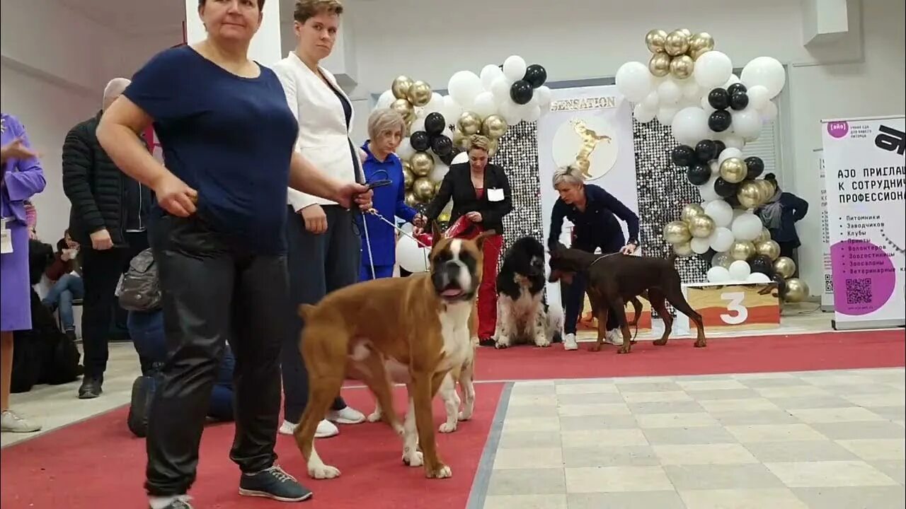 Рекламное агентство прайд. Прайд липецк. Прайд липецк. Прайд липецк. Суперфит фитнес клуб.