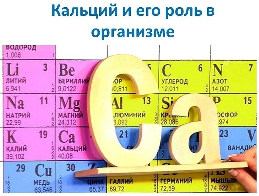 Соединения кальция в организме. Кальций. Кальций в организме. Роль кальция в организме человека. Кальций в человеческом организме.