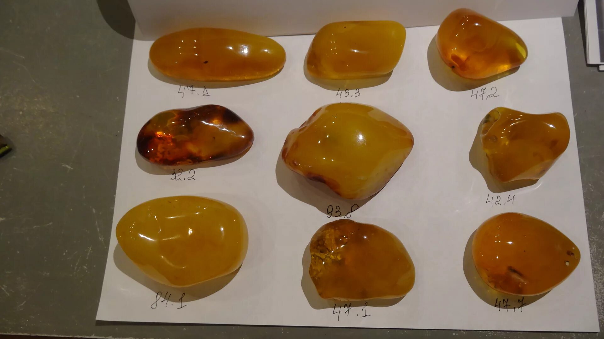 Насекомые в янтаре. 1 грамм янтаря. 1 грамм янтаря. 1 грамм янтаря. 1 грамм янтаря.