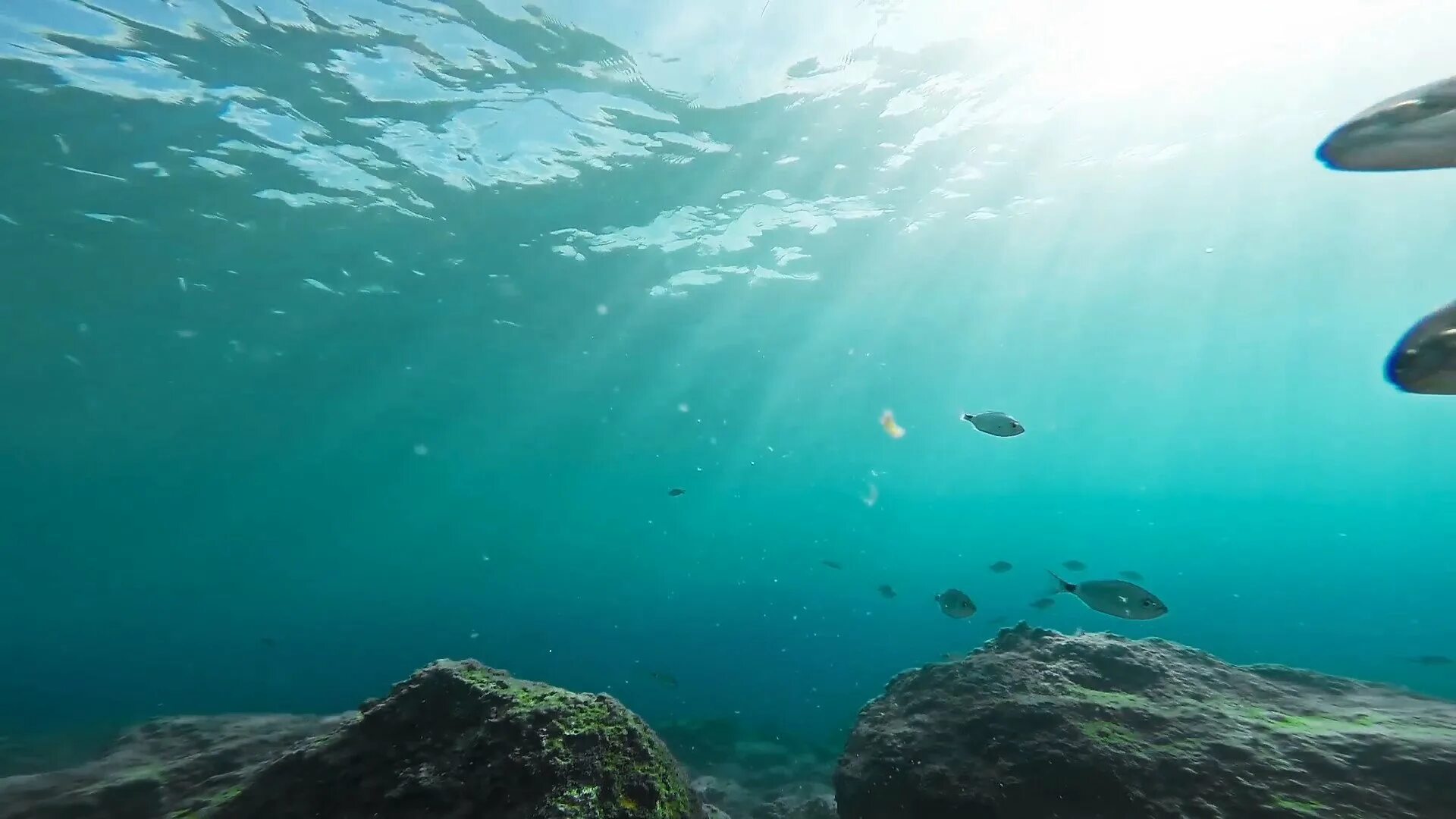 Поверхность дна океанов. Океан. Морское дно. Море глубина. Море под водой.