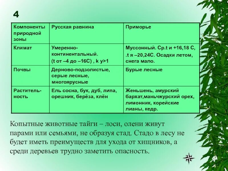 Природная зона дерново-подзолистой почвы таблица. Дерново-подзолистые почвы природная зона. Леса России таблица. Серые Лесные природная зона. Какая почва в природной зоне тайга