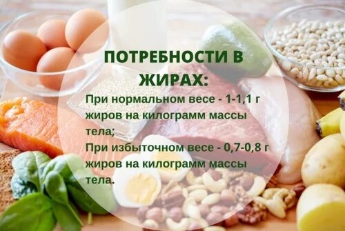 Норма жиров на 1 кг веса. Потребность организма в жирах. Потребность и нормирование жиров в питании. Жиры на 1 кг веса. Нормы жира на кг массы.