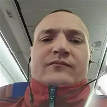 Дикий 42
