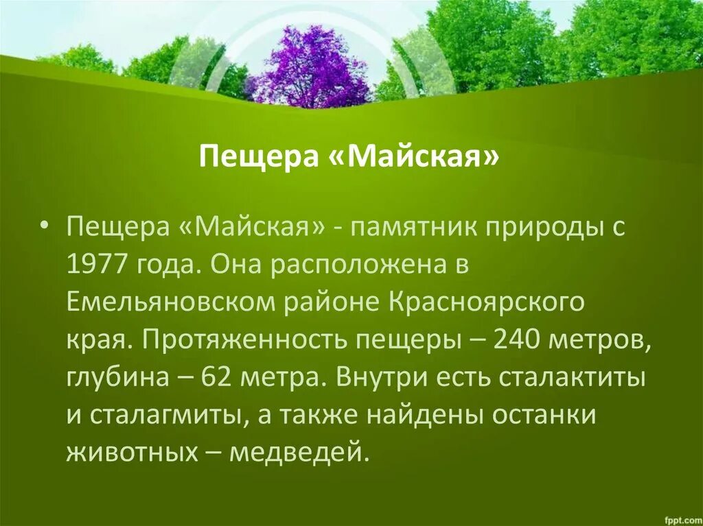 Что определяет человеческую природу