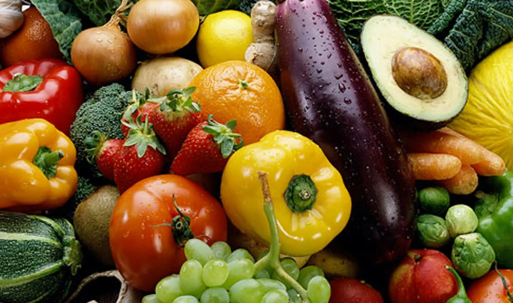 Заболевание овощей и фруктов. Овощи фото. Ранние овощи. Сила овощей. Овощи красивое фото.