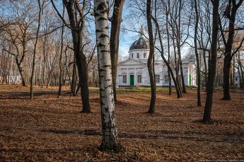 Погода г богородицк тульской